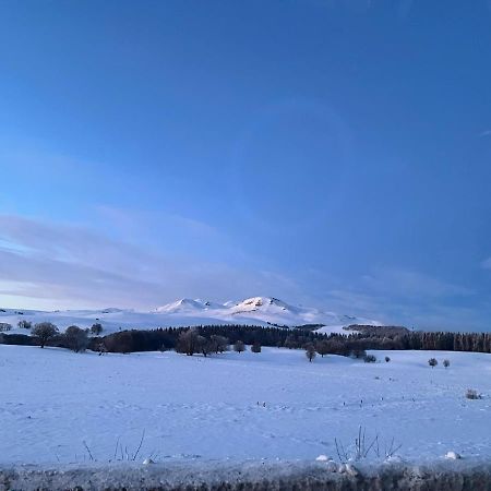 Le Pré devant nous Picherande Extérieur photo