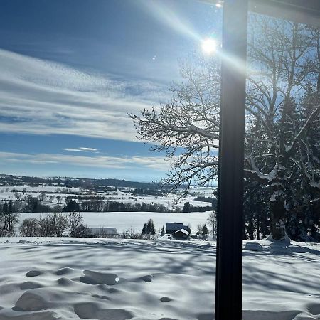 Le Pré devant nous Picherande Extérieur photo