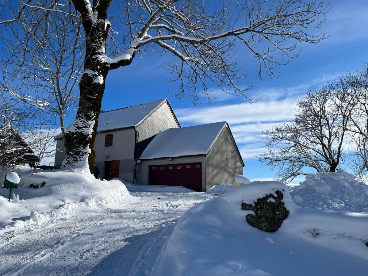 Le Pré devant nous Picherande Extérieur photo